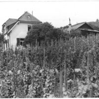 Haus der Familie Roos im Schlipf bei Riehen. Aufnahme vermutlich aus den 1930er Jahren. Foto: Album Roos (Nachlass Otto Roos, Depositum Riehen Gemeindearchiv)